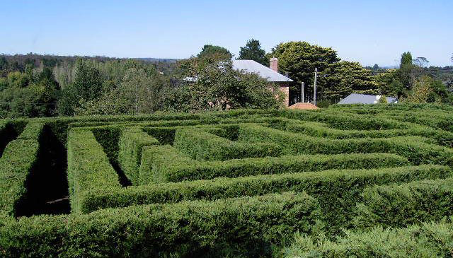 Harpers Mansion Maze Berrima