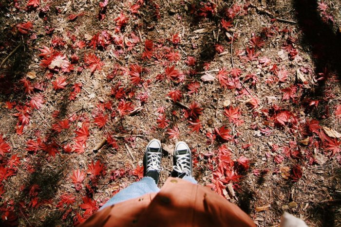 Breenhold Gardens of Mount Wilson Red Leaves