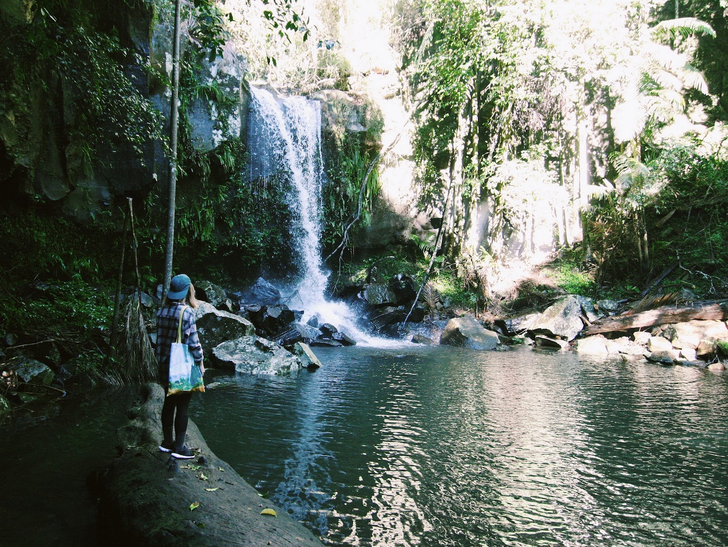 Curtis Falls Mount Tamborine Gold Coast